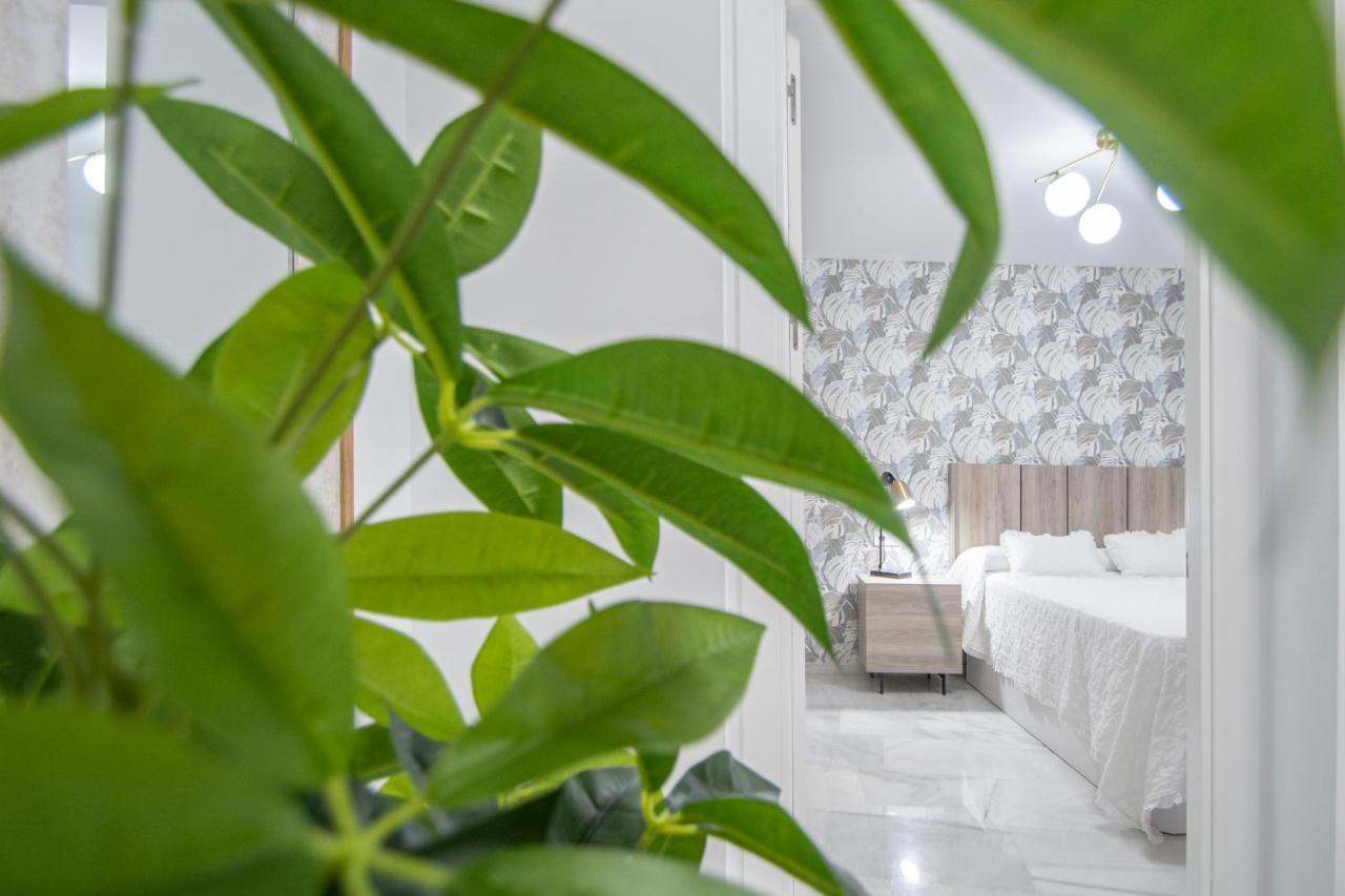 Apartamento La Magnolia De Cadiz Exterior photo